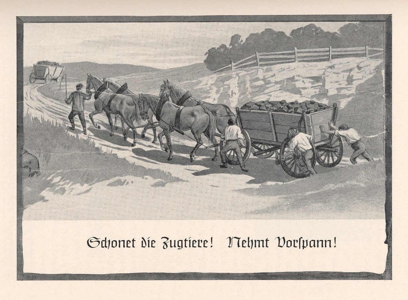 Aus den Anfängen des Tierschutzes